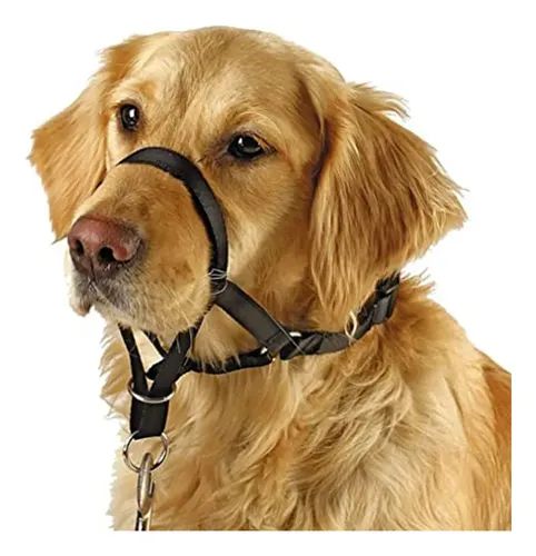Dog Head Collar