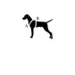 Doggy Safety Harness