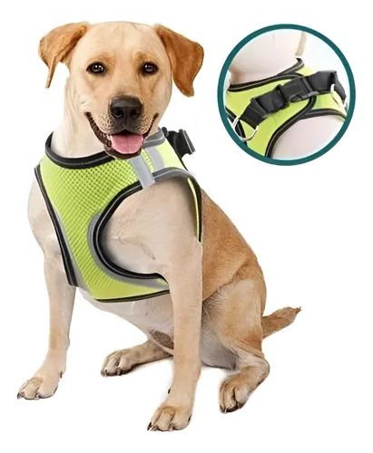 Doggy Safety Harness