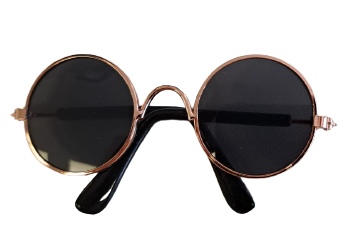 Lentes para Mascotas