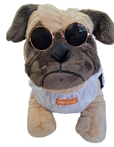 Lentes para Mascotas