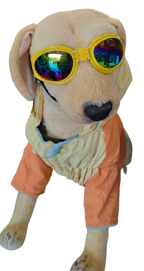 Lentes para Mascotas