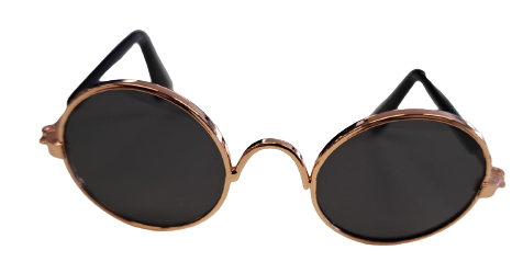 Lentes para Mascotas